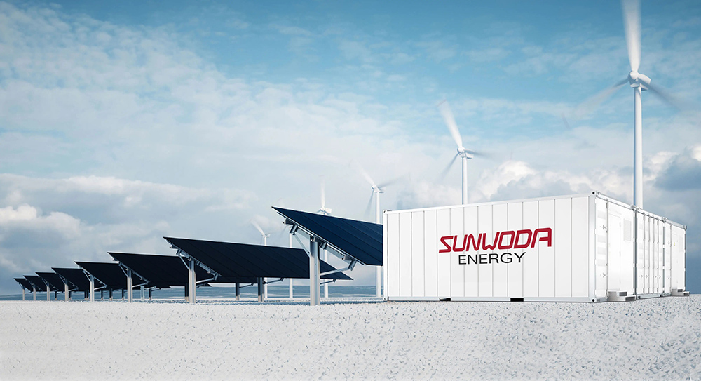 1655807279123011.jpg 3.jpg