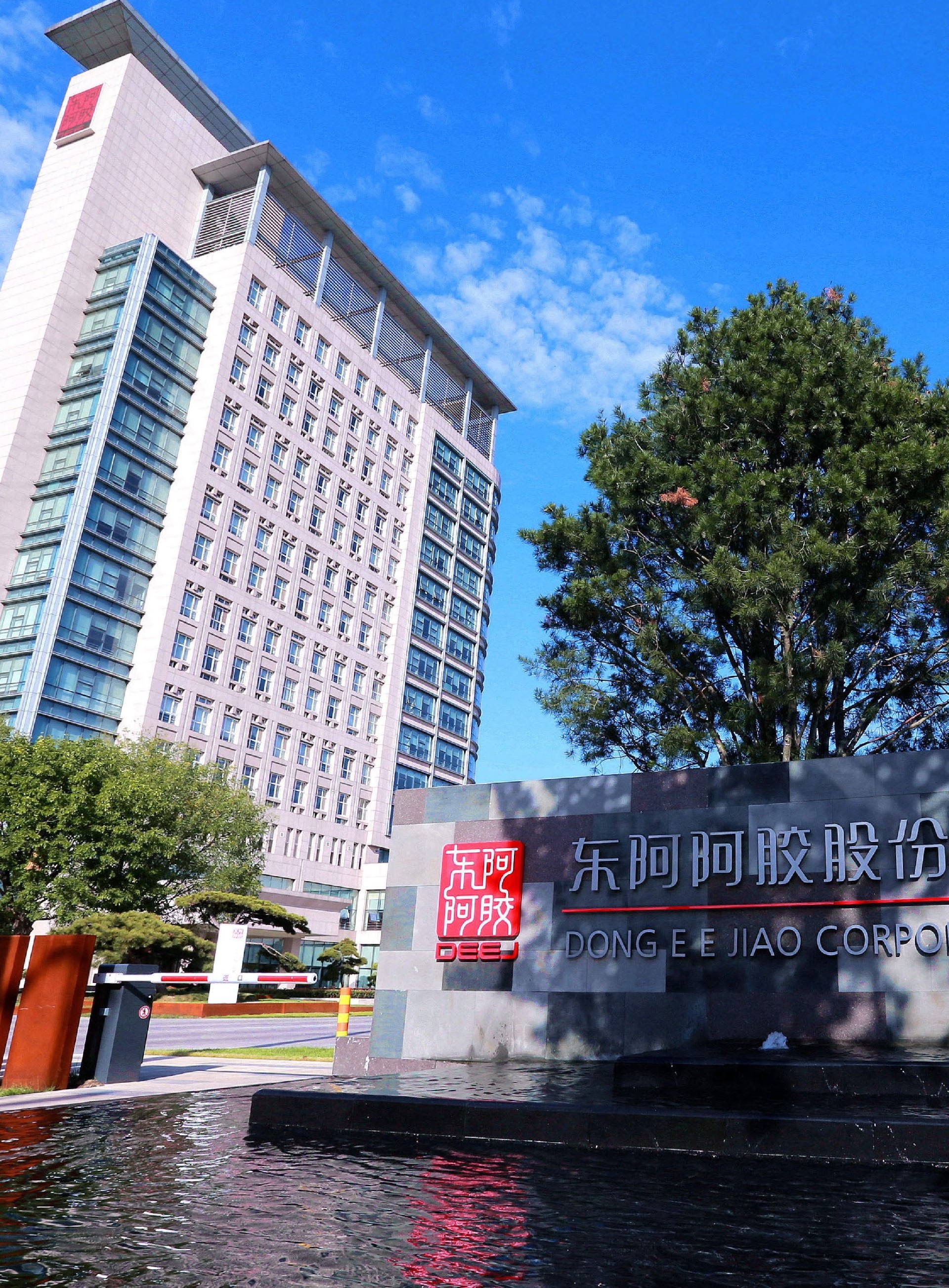 东阿阿胶厂房形象2.jpg
