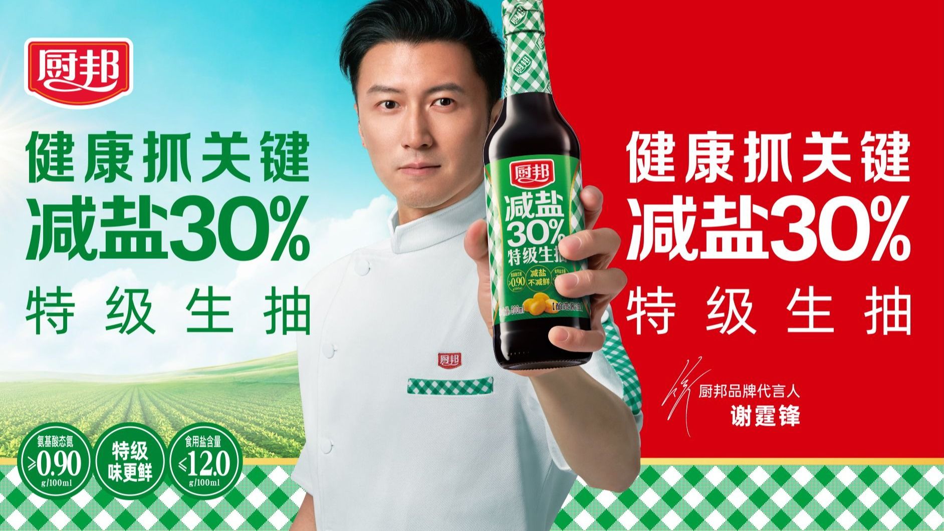 厨邦代言人谢霆锋形象.jpg