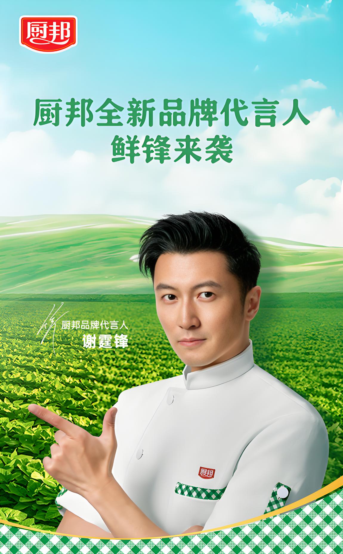 厨邦代言人谢霆锋.jpg